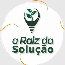 A Raiz da Solução A Raiz da Solução
